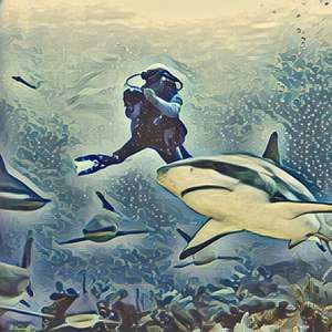 Meet your Posher, William